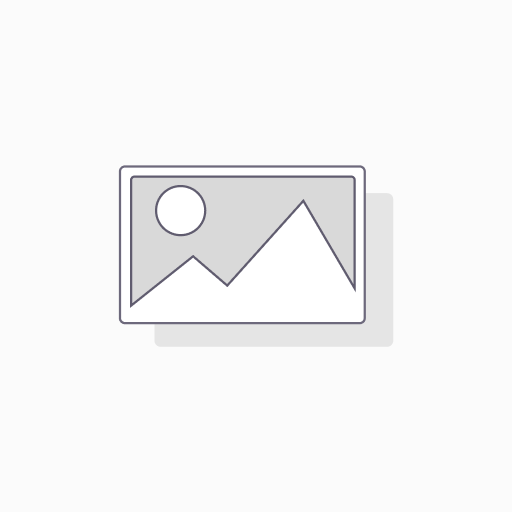 Samsung S9 Battery